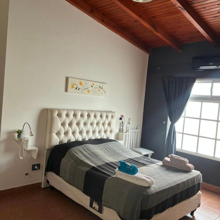 Alquiler por Día Alca!!!! - Apartamento de 1 dormitorio - 14