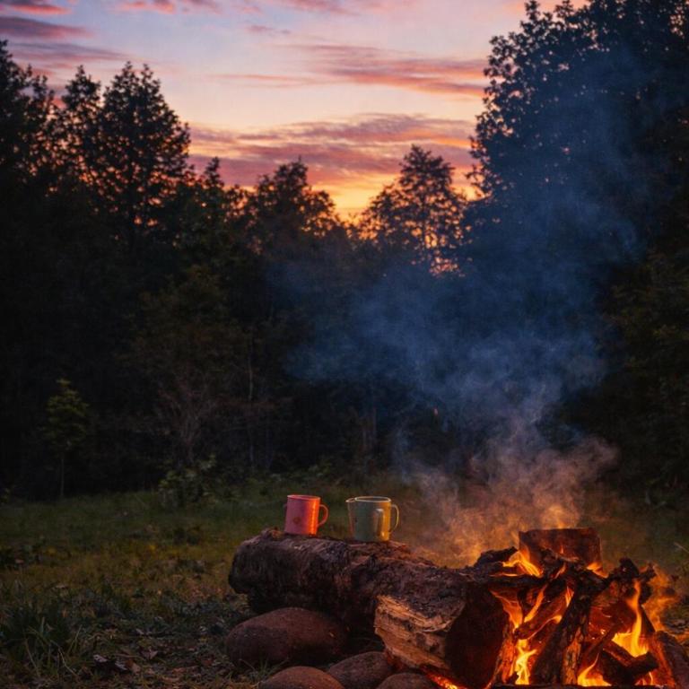 Cozy Cabin in Chiloé Wifi in Native Forest and Ocean View Retreat - Two-Bedroom Chalet - 3