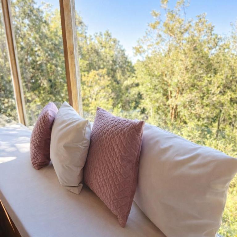 Cozy Cabin in Chiloé Wifi in Native Forest and Ocean View Retreat - Two-Bedroom Chalet - 6