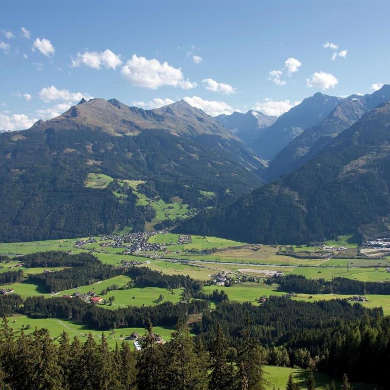 Apartment with terrace in Hollersbach - Two-Bedroom Apartment - 27