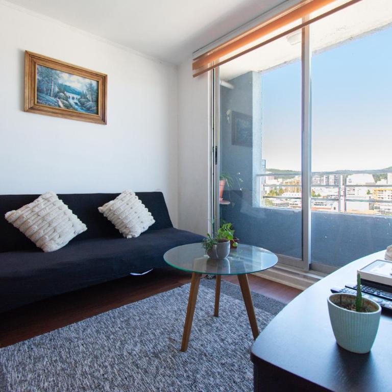 Vista Panorámica gran Concepción - One-Bedroom Apartment - 12
