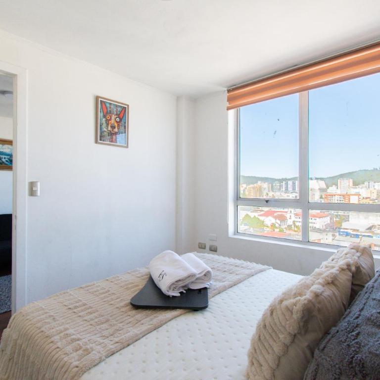 Vista Panorámica gran Concepción - One-Bedroom Apartment - 5
