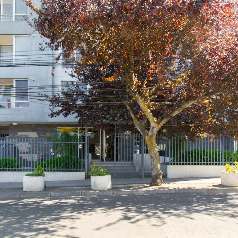 Vista Panorámica gran Concepción - One-Bedroom Apartment - 27