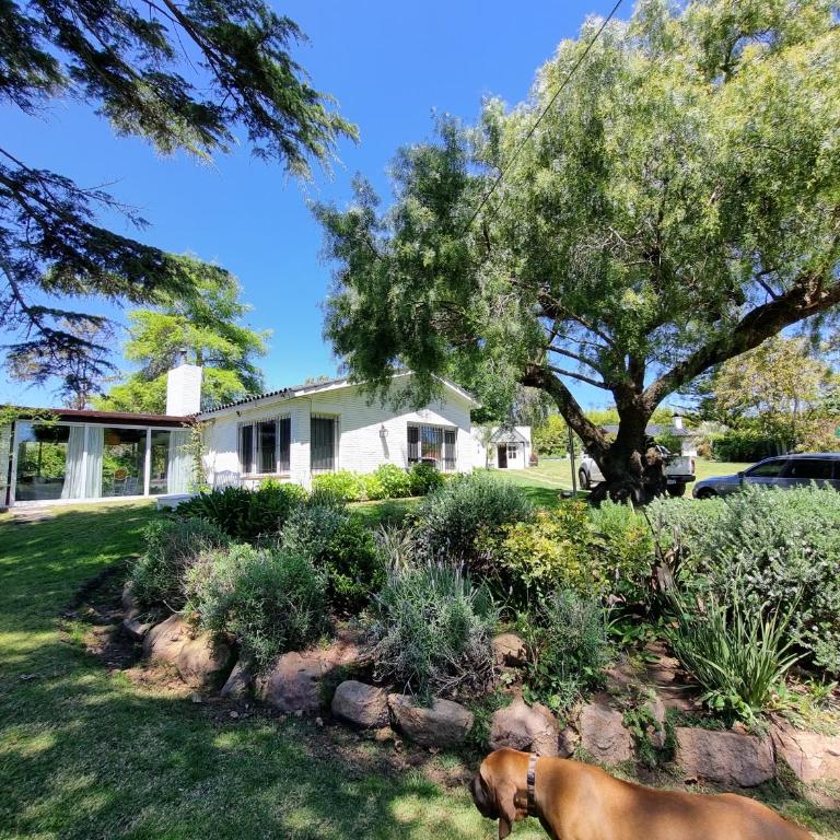 Casa en Punta del Este - Casa de 7 dormitorios - 10