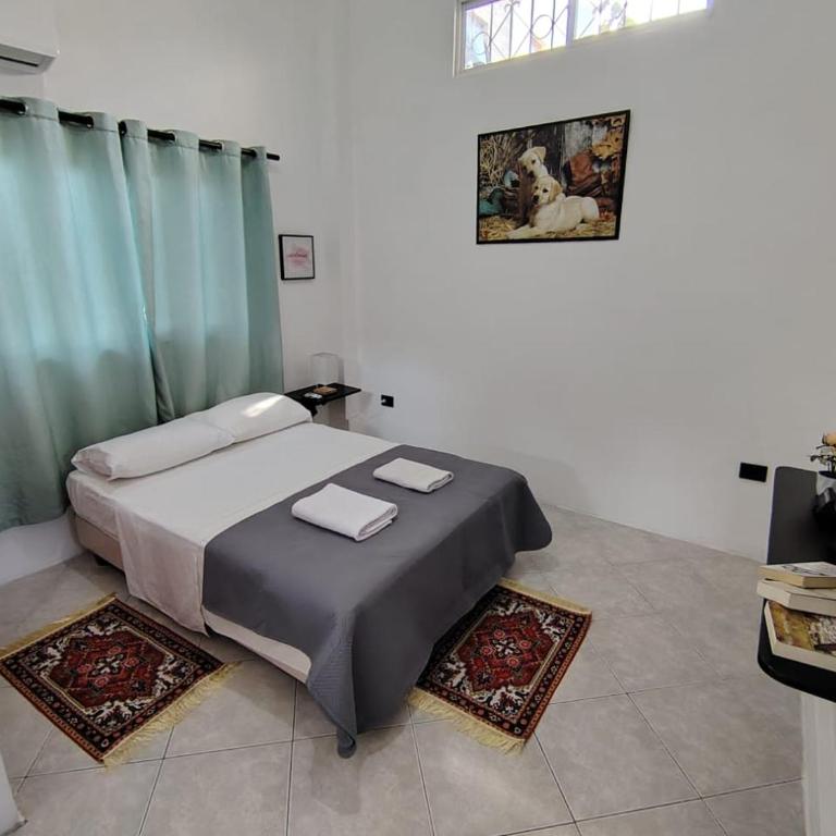 Galápagos Islands-Apartment in Santa Cruz - One-Bedroom Apartment - 1