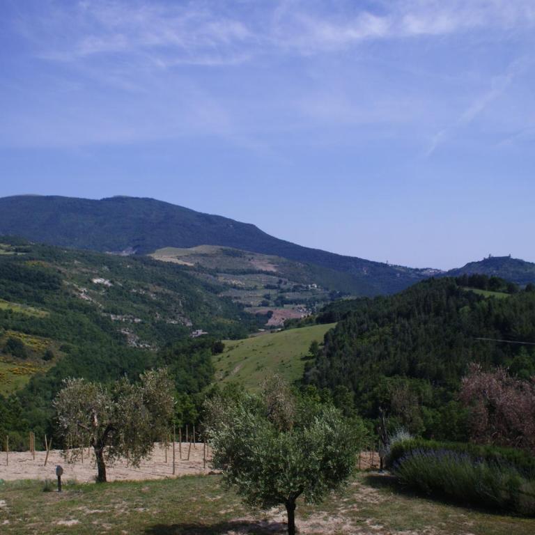 Holiday home with pool near Assisi - Casa Vacanze con 2 Camere da Letto - 12