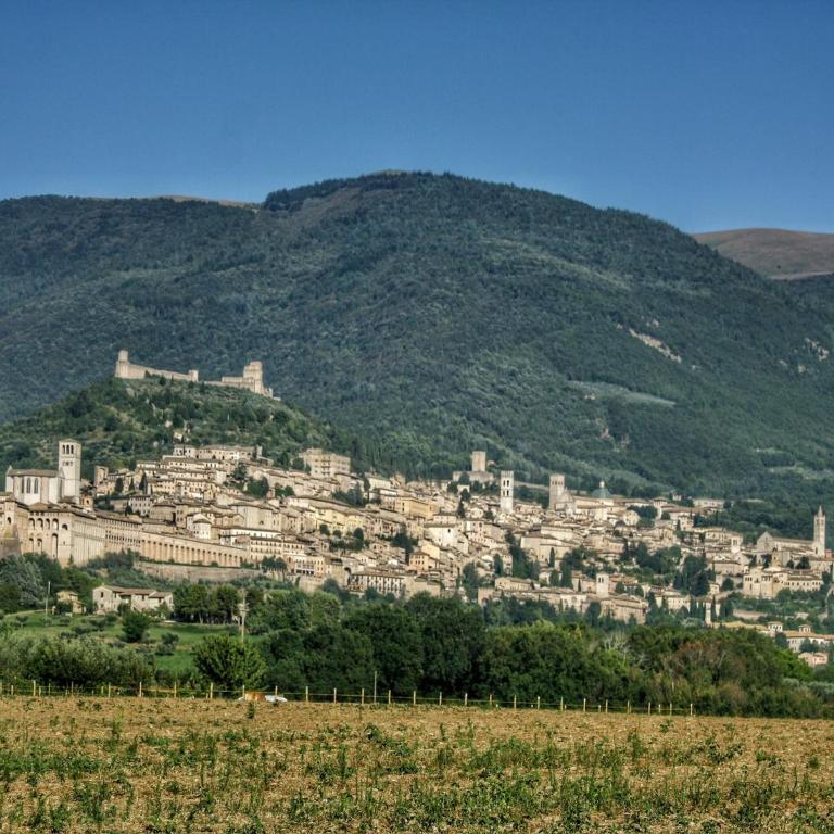 Holiday home with pool near Assisi - Casa Vacanze con 2 Camere da Letto - 19
