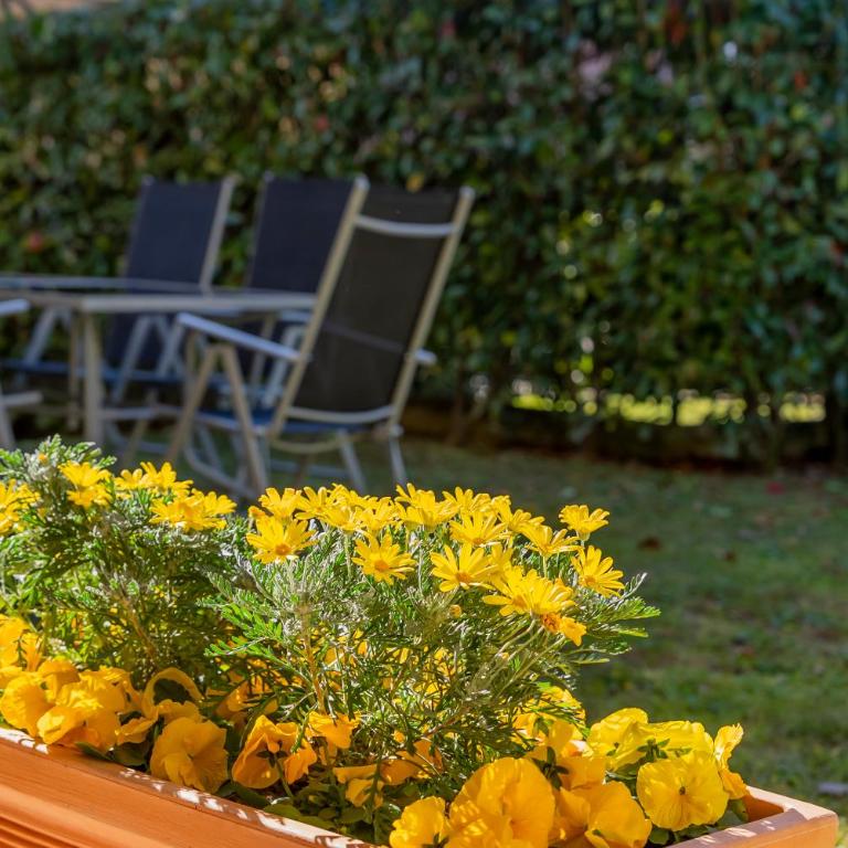 giardino e piscina apartment - Appartamento con 2 Camere da Letto - 76