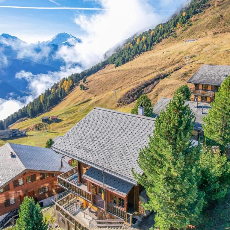 Chalet Nachtigall - Chalet - 3
