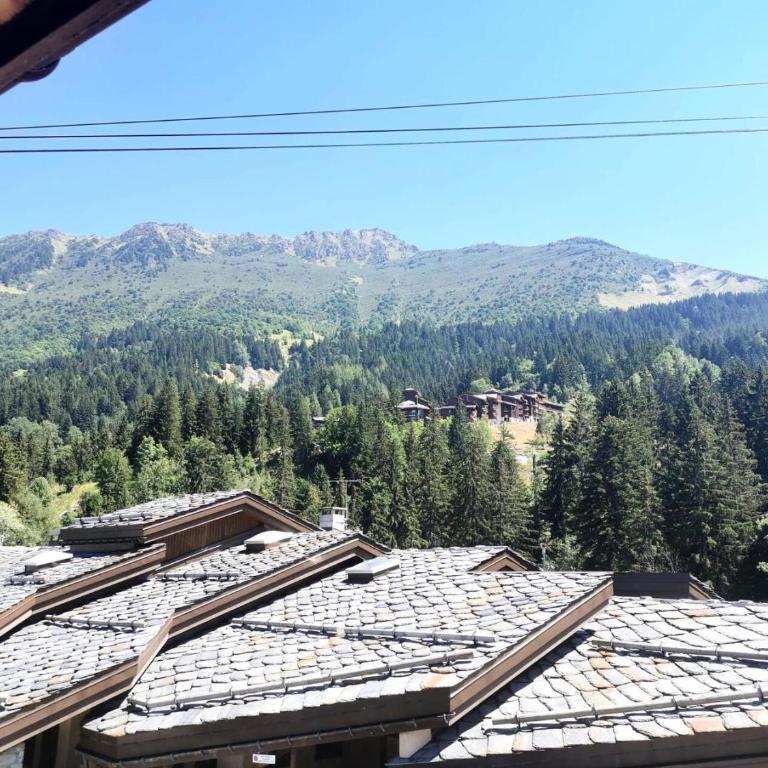 Résidence Bourg Morel - Le Bourg-Morel 36/4 - Duplex rue piétonne MAE-5654 - Apartamento - 8