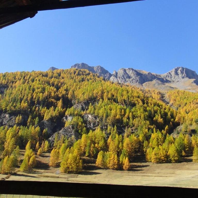 La Maison de Lucien, chalet 4 étoiles pour 10 personnes - Maison de Vacances - 13