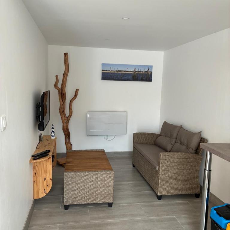 Le Phare - Appartement 1 Chambre - 4