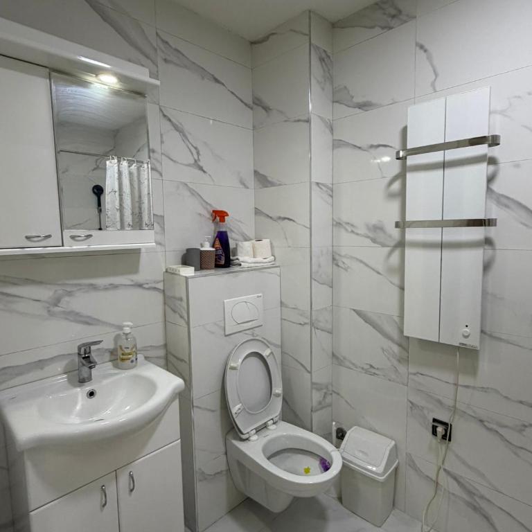 Badi's apartment - One-Bedroom Apartment - 9
