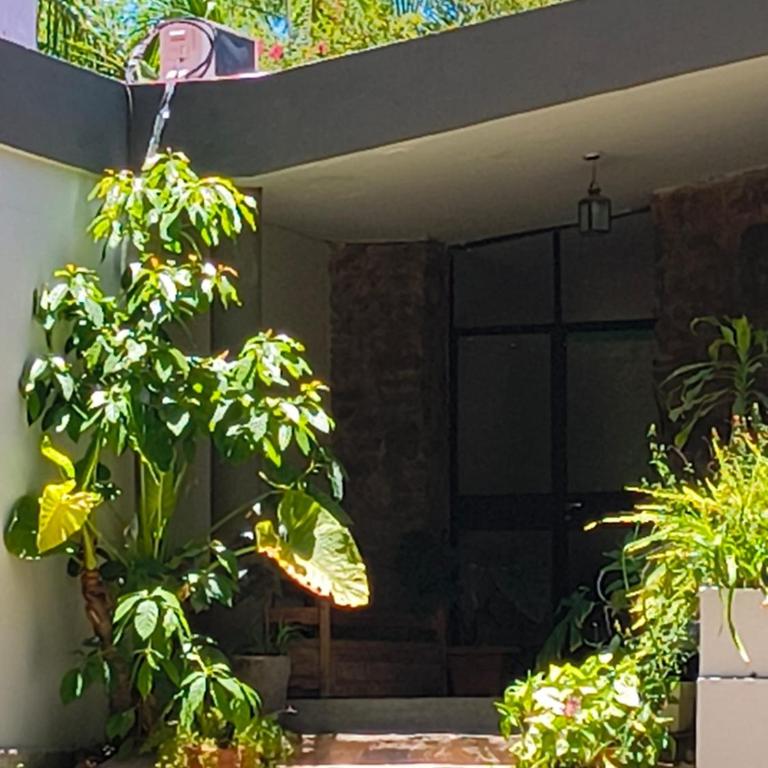 La Forêt - Apartamento de 1 dormitorio - 30