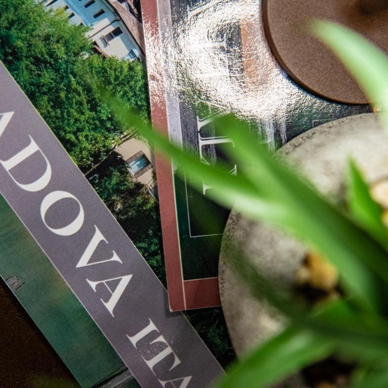 Chocolate Nest Padova - Sole 233 - Appartamento con 1 Camera da Letto - 17
