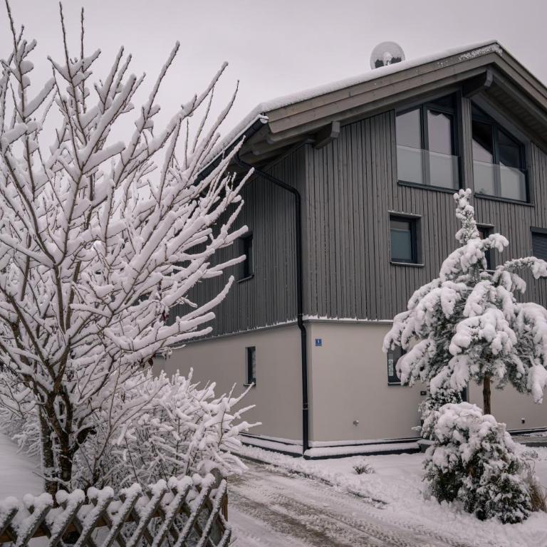 Boutique ChaletS Alpi - Private Sauna & Garden - Chalet House with Sauna & Garden - 54