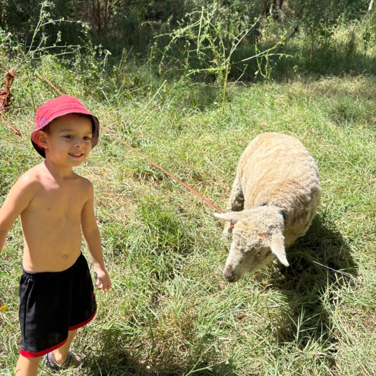 Viento Potro Casa Quinta de Campo - Villa de 3 dormitorios - 4