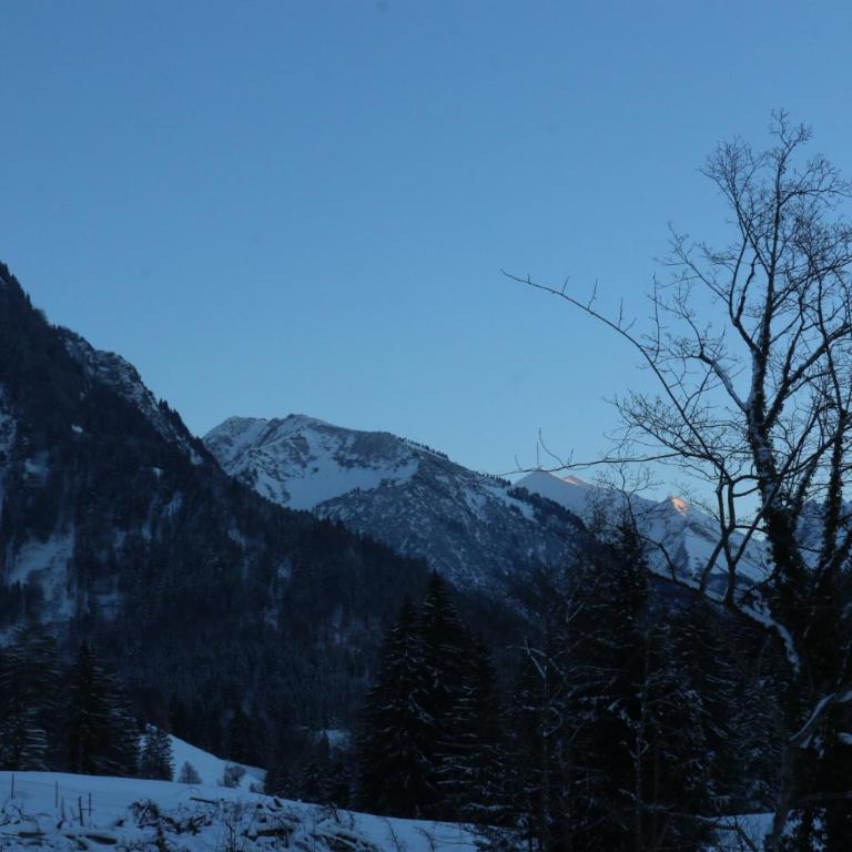 Gemütliche Hütte in der Natur mit herrlicher Aussicht - Ferienhaus - 19