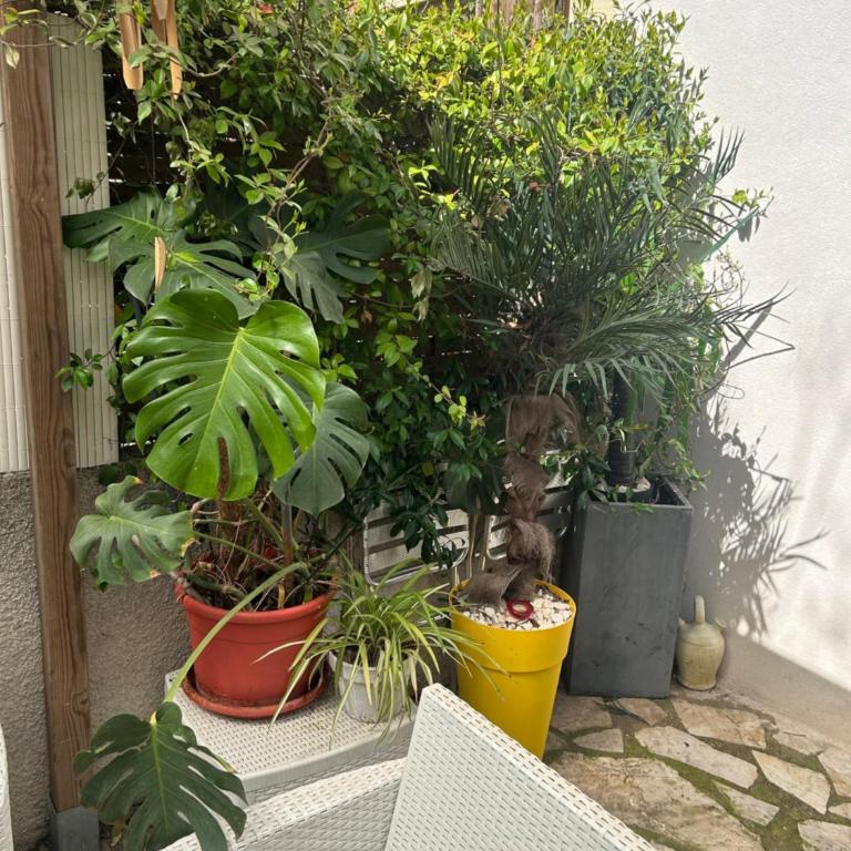 Beautiful studio with courtyard, parking and optional spa 30e per day - Appartement 1 Chambre - 17