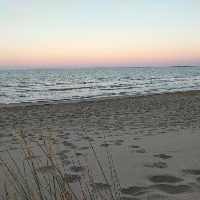 AGDE Appart Entre Mer et Rivière - Appartement 1 Chambre - 45