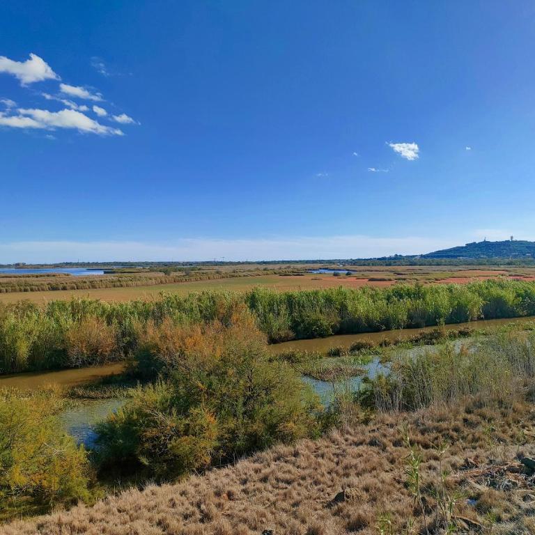 AGDE Appart Entre Mer et Rivière - Appartement 1 Chambre - 44