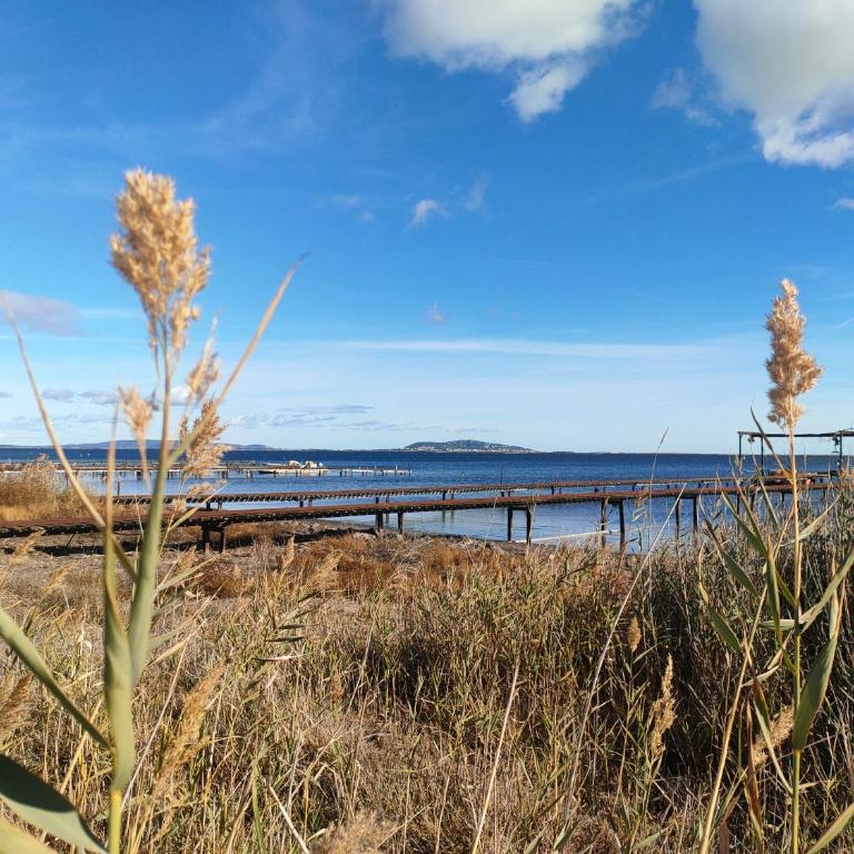 AGDE Appart Entre Mer et Rivière - Appartement 1 Chambre - 47