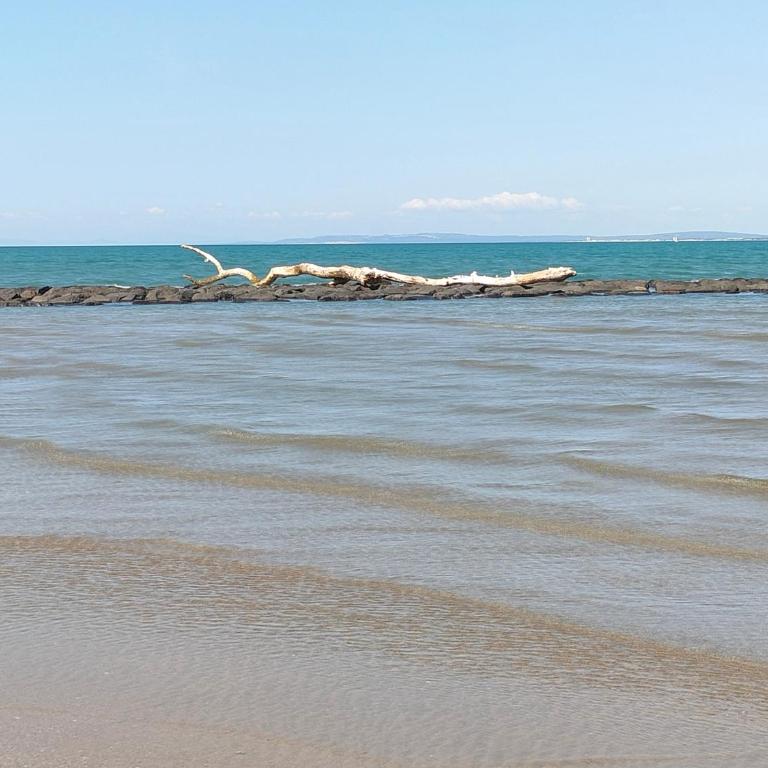 AGDE T2 entre mer et rivière - Appartement 1 Chambre avec Balcon - 37