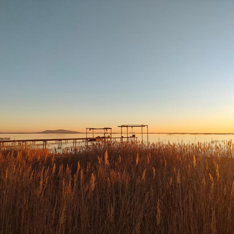 AGDE T2 entre mer et rivière - Appartement 1 Chambre avec Balcon - 38