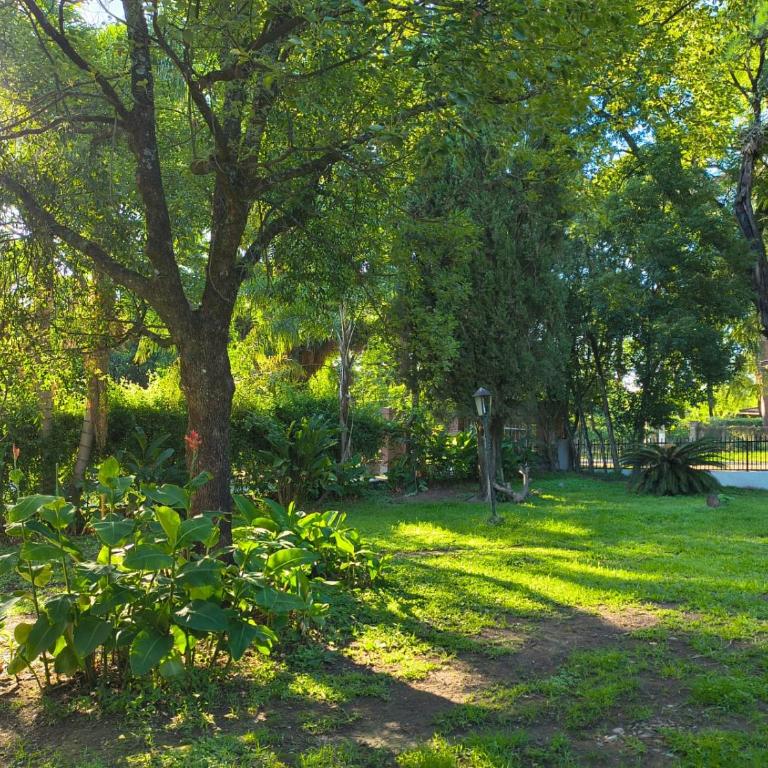 La Forêt - Apartamento de 1 dormitorio - 2