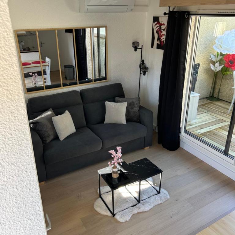 Studio CAP D AGDE - One-Bedroom Apartment - 1