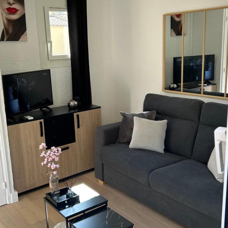 Studio CAP D AGDE - One-Bedroom Apartment - 13