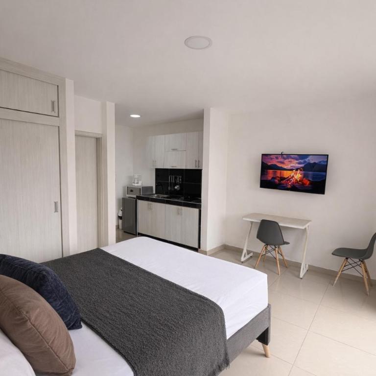 303 studio apartment in El Peñon San Antonio - One-Bedroom Apartment - 2