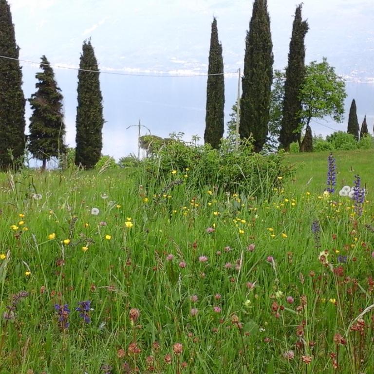 Agriturismo Casa del Castagneto - Villa con 3 Camere da Letto e Giardino Privato - 45