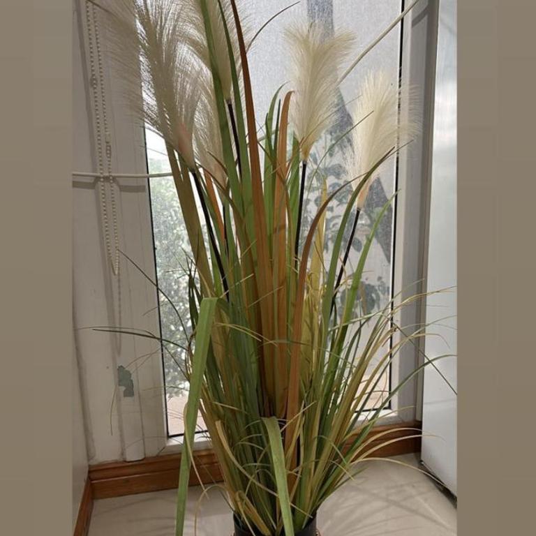 Monoambiente centrico-Paseo Plaza - Apartamento - 5