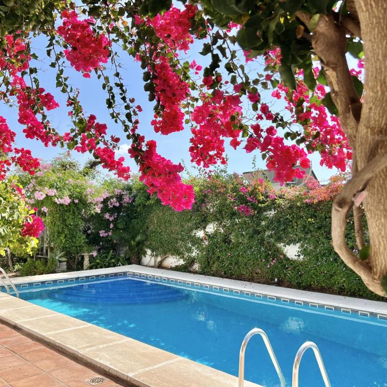 58 - villa 4 chambre piscine prive proche de la mer a Cancelada - Villa con piscina privada - 15