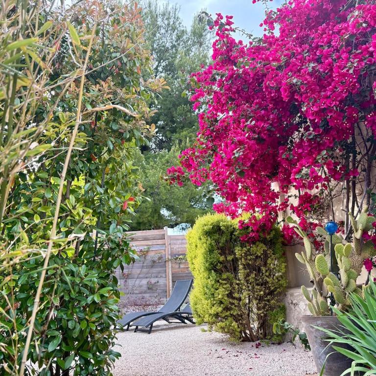 Villa Lou Tiboulen Townhouse 100 m from the port - Villa 3 Chambres - 11