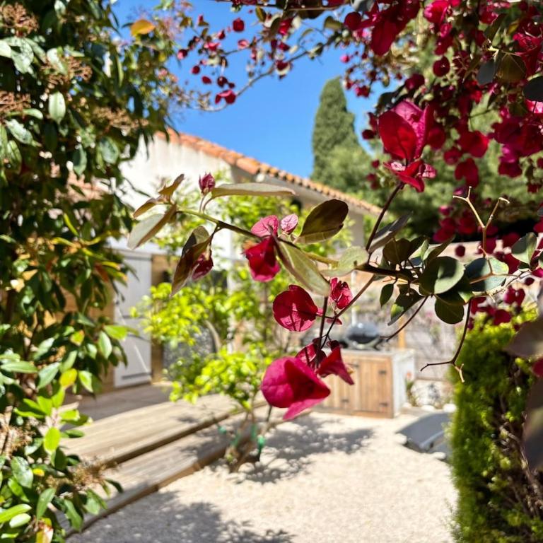 Villa Lou Tiboulen Townhouse 100 m from the port - Villa 3 Chambres - 13