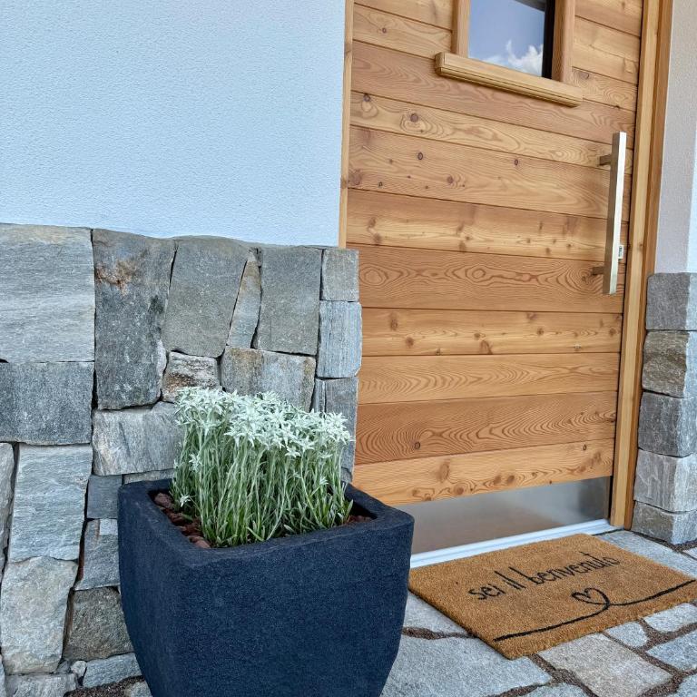 Appartamento Ciclamino - Appartamento con 1 Camera da Letto - 59