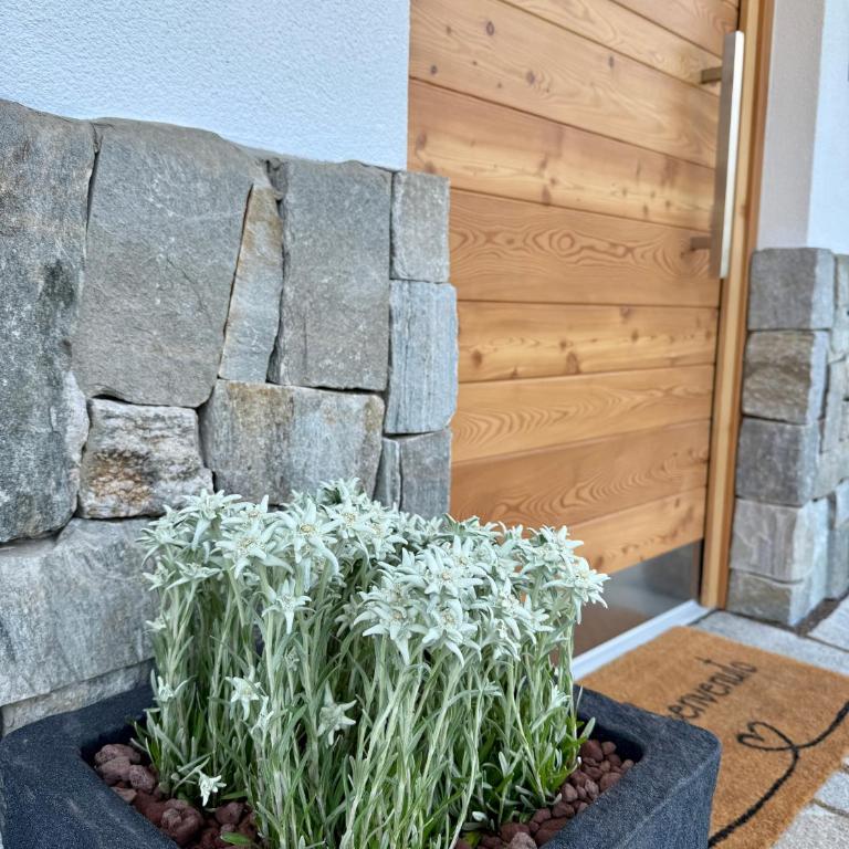 Appartamento Genziana - One-Bedroom Apartment - 47