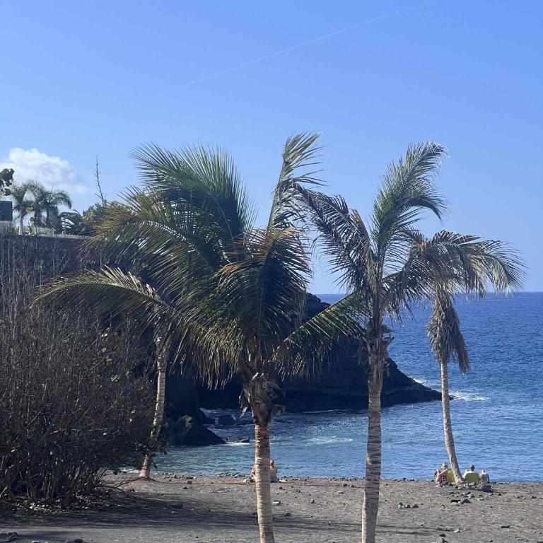 Casa Banana Ocean View Apartman Adeje - Apartamento de 1 dormitorio con vistas al mar - 29