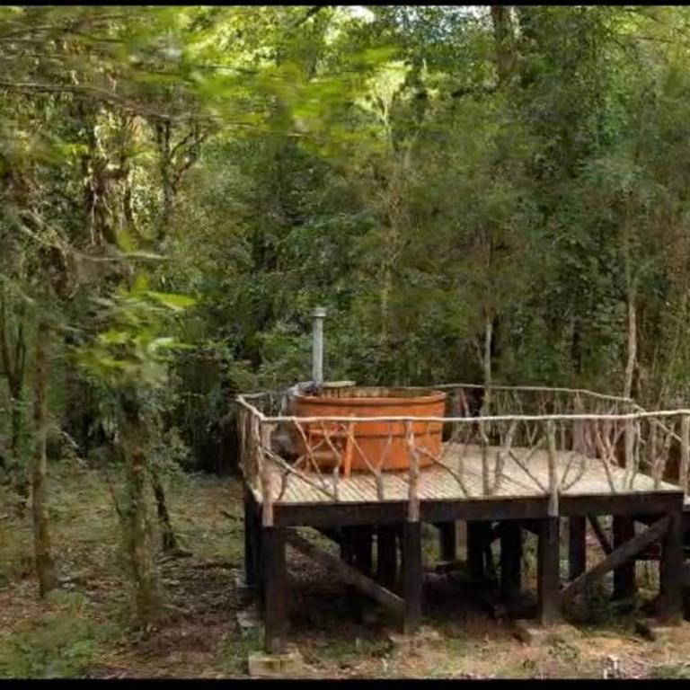 House of the Enchanted Forest - Three-Bedroom House - 6