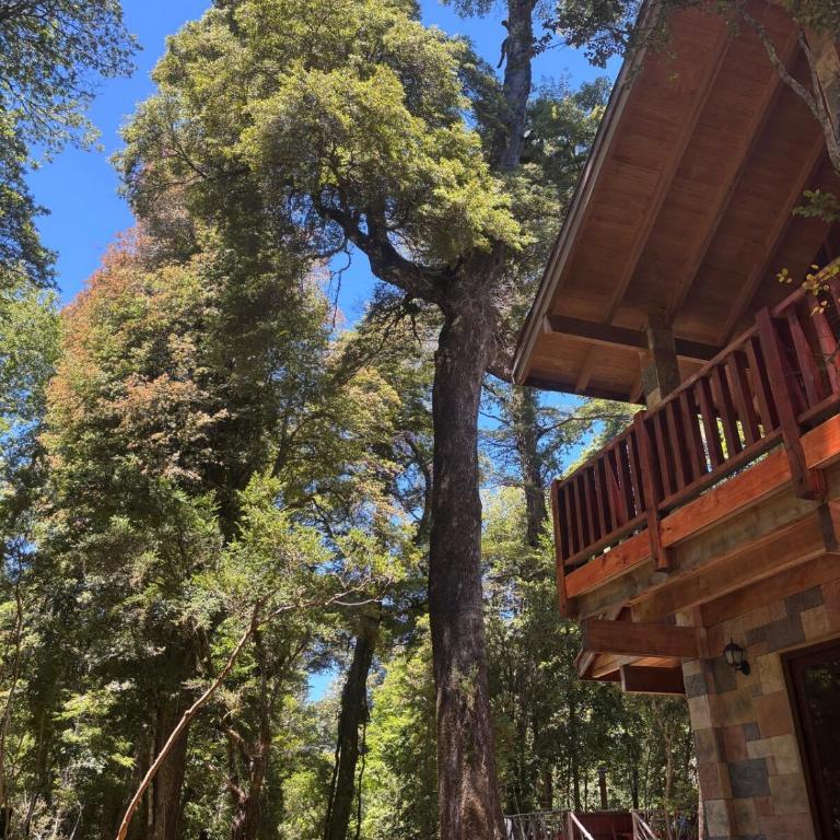 House of the Enchanted Forest - Three-Bedroom House - 10