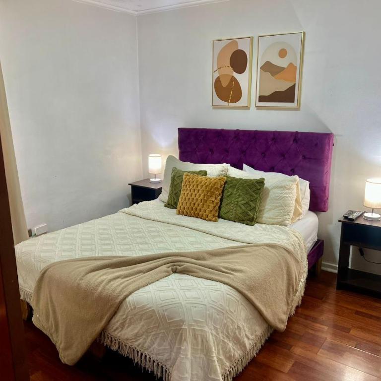 Santiago centro apart - One-Bedroom Apartment - 19