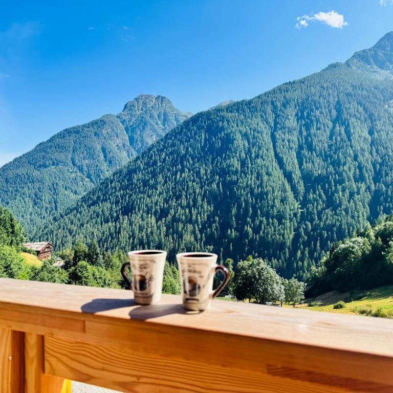 Apartment Val di Rabbi - Apartment mit 1 Schlafzimmer - 2