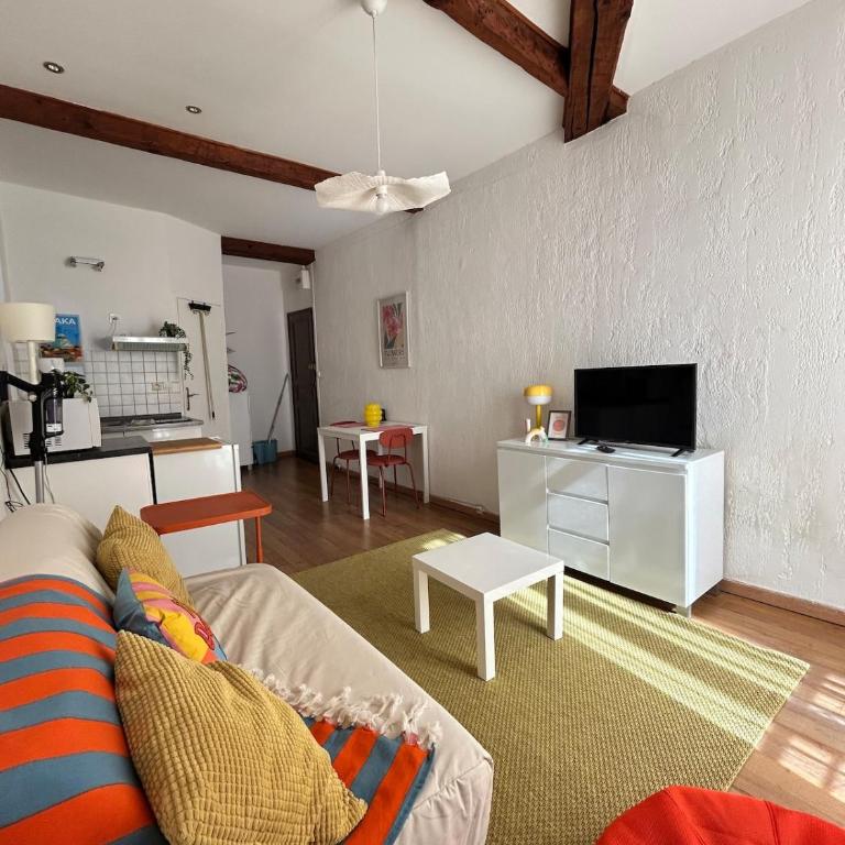 Studio Centre de Perpignan zone Castillet avec Wifi - Appartement 1 Chambre - 14