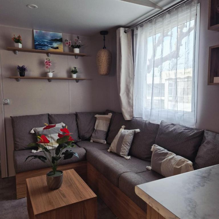 Mobil-Home Le Premium-MH34 - Mobile Home - 3