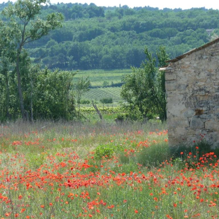 Bastidon du Chene - Maison 2 Chambres - 22