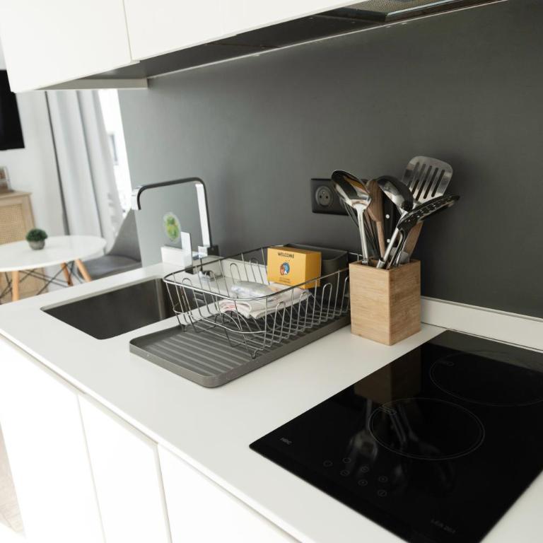 Cozy apartment Nice center - Appartement 1 Chambre - 12