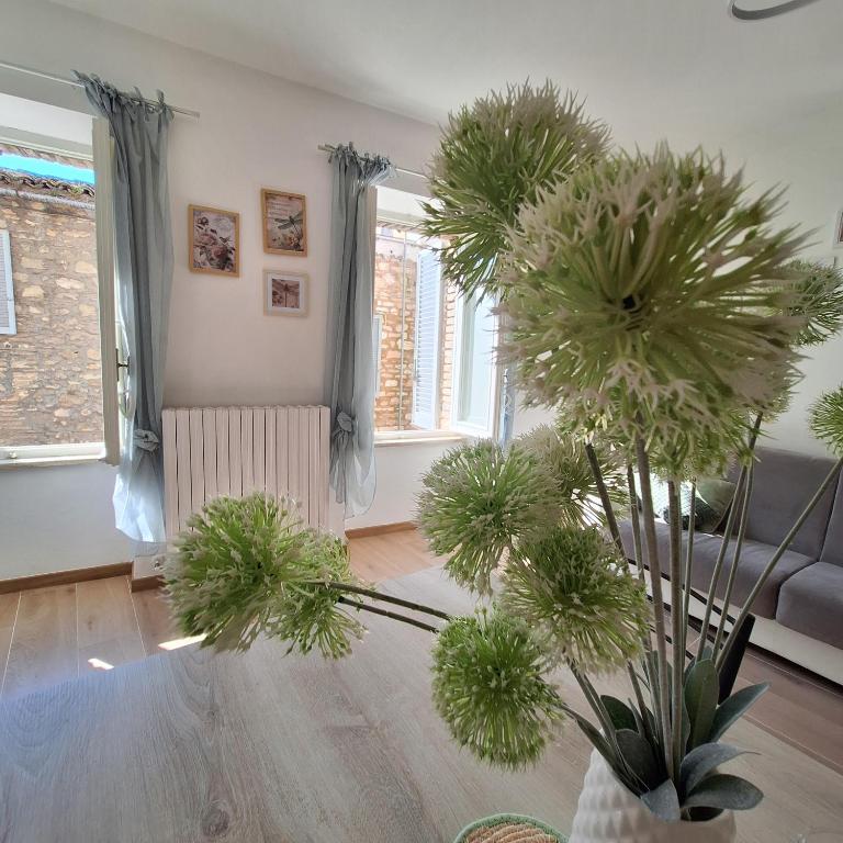 Elunà Assisi Home - Appartamento Deluxe - 1