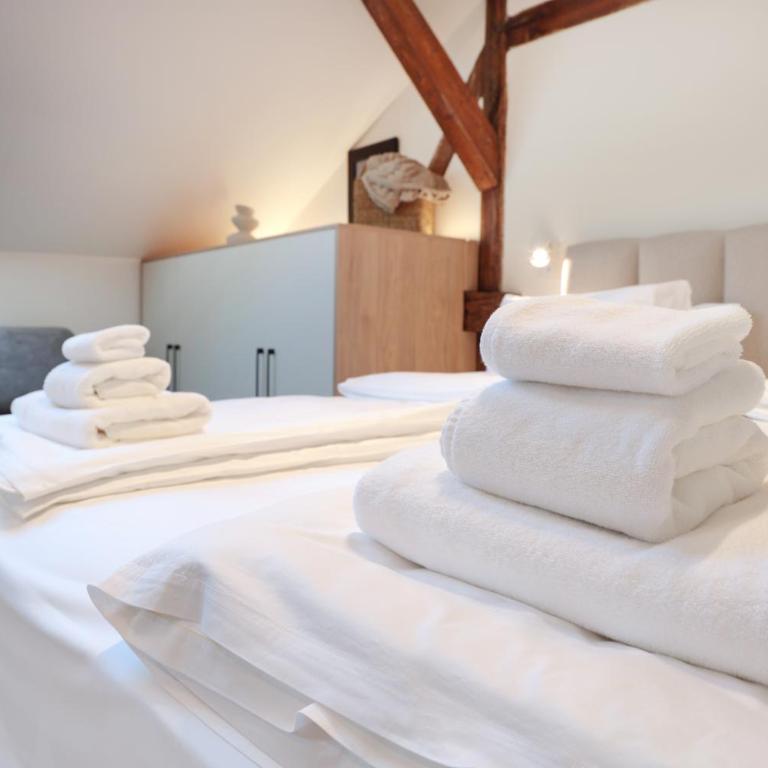 Gastro&Stay B&B - Belgrade CityCentre - Studio s King-sajz Krevetom i Sofom na Izvlačenje - 7